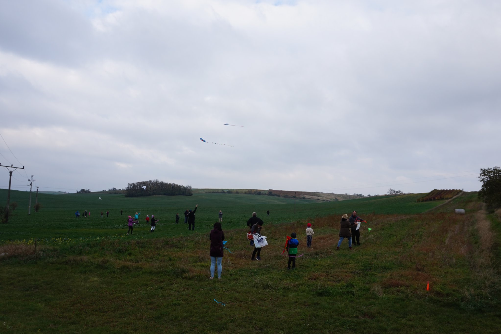 Sázení lípy 100 let ČSR